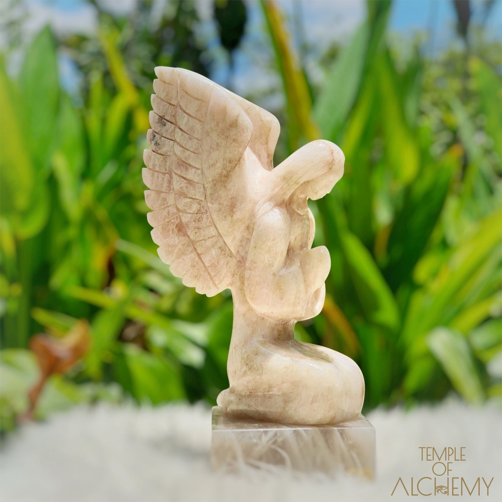 Raphaela 𓆃 The Healing of God