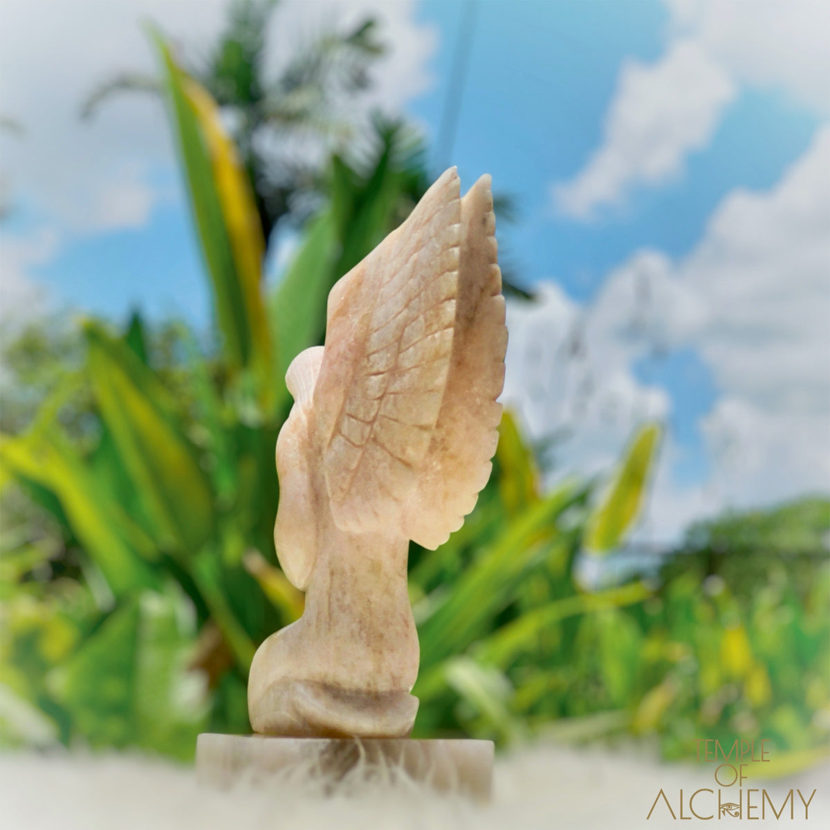 Raphaela 𓆃 The Healing of God