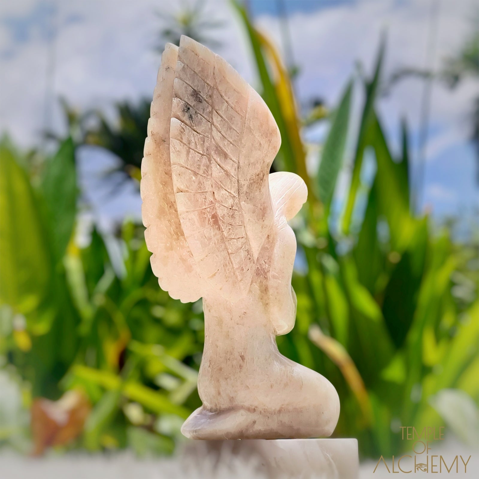 Raphaela 𓆃 The Healing of God