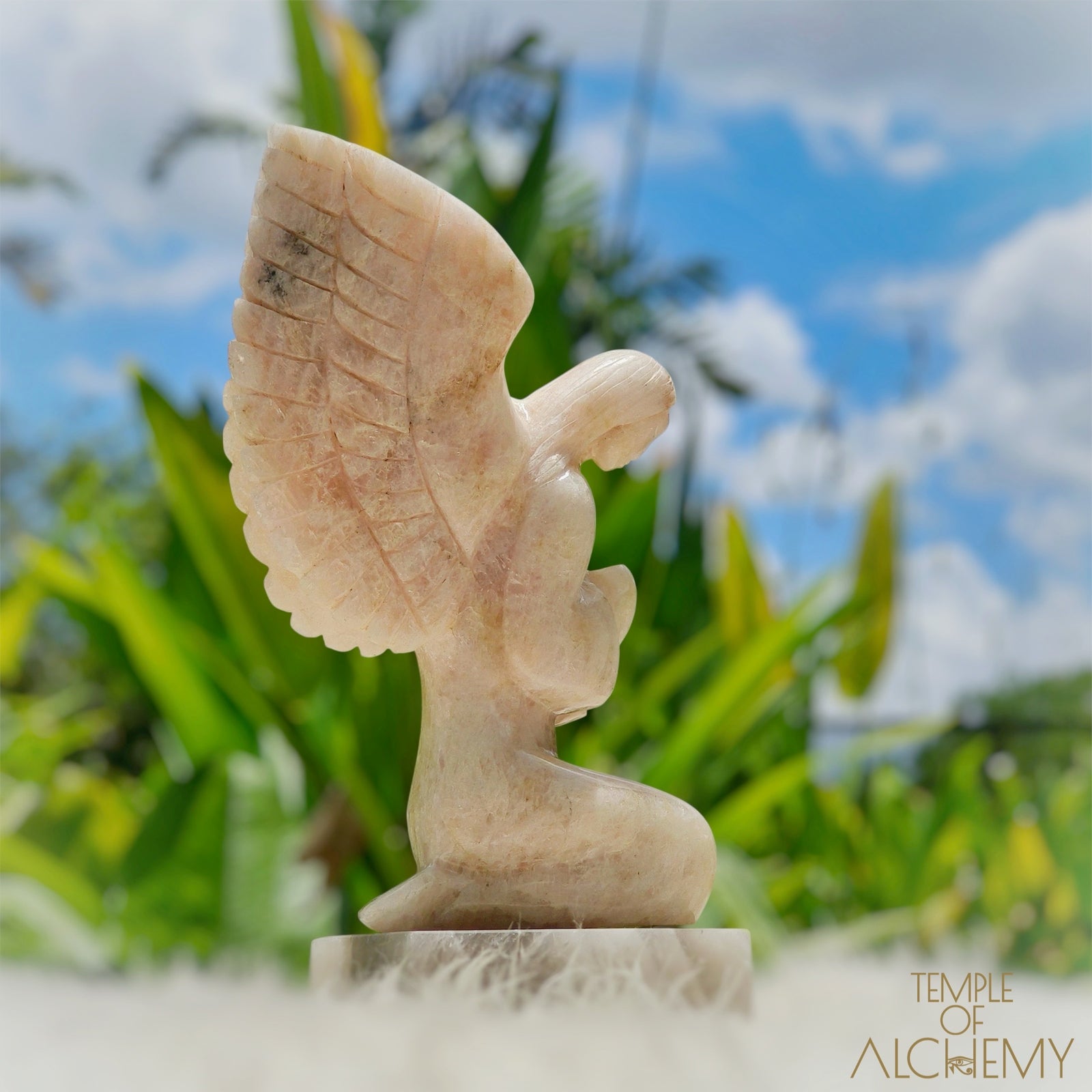 Raphaela 𓆃 The Healing of God