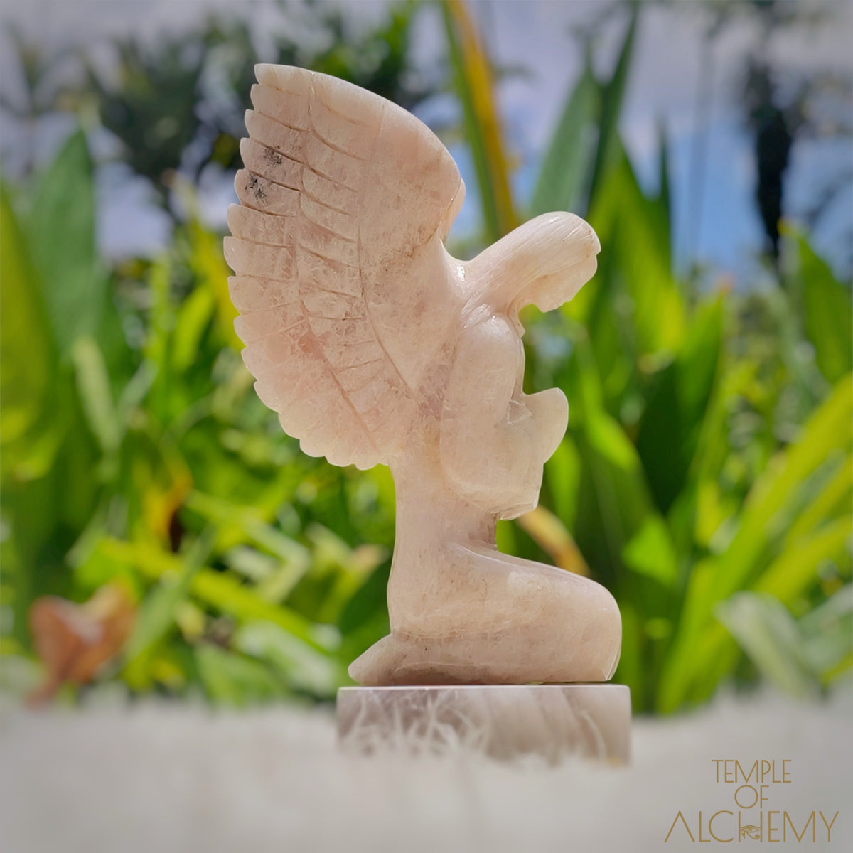 Raphaela 𓆃 The Healing of God