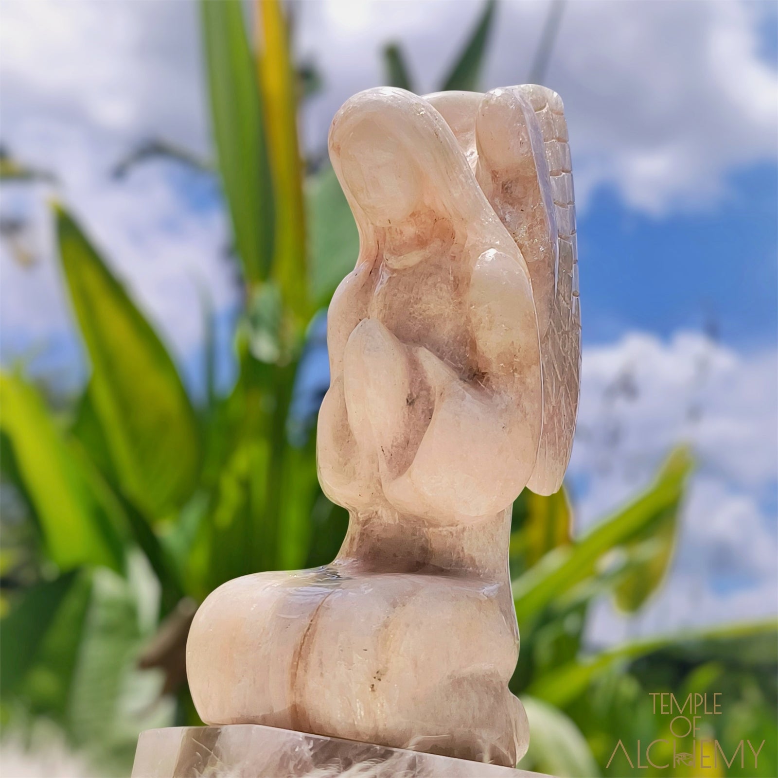 Raphaela 𓆃 The Healing of God