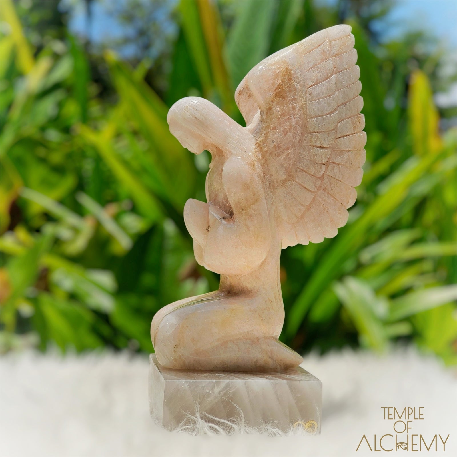 Raphaela 𓆃 The Healing of God