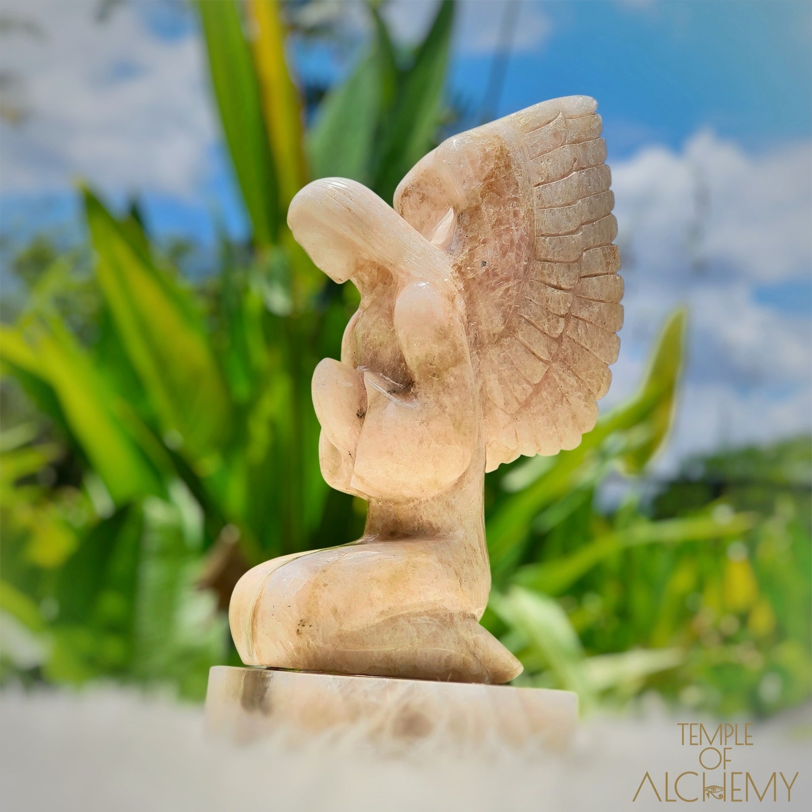 Raphaela 𓆃 The Healing of God