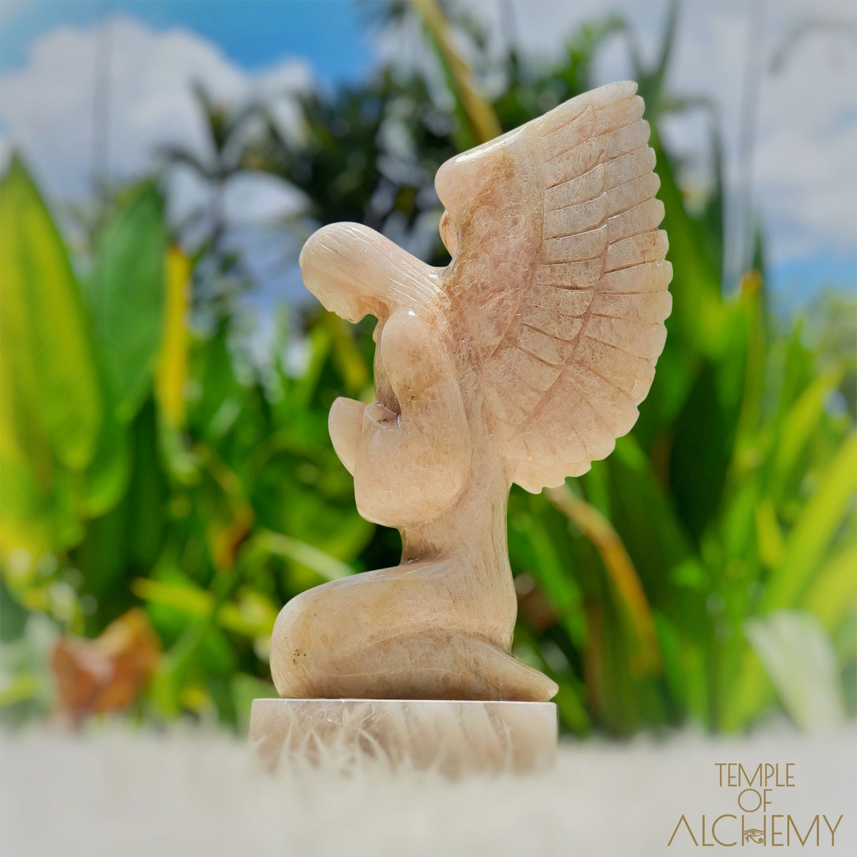 Raphaela 𓆃 The Healing of God