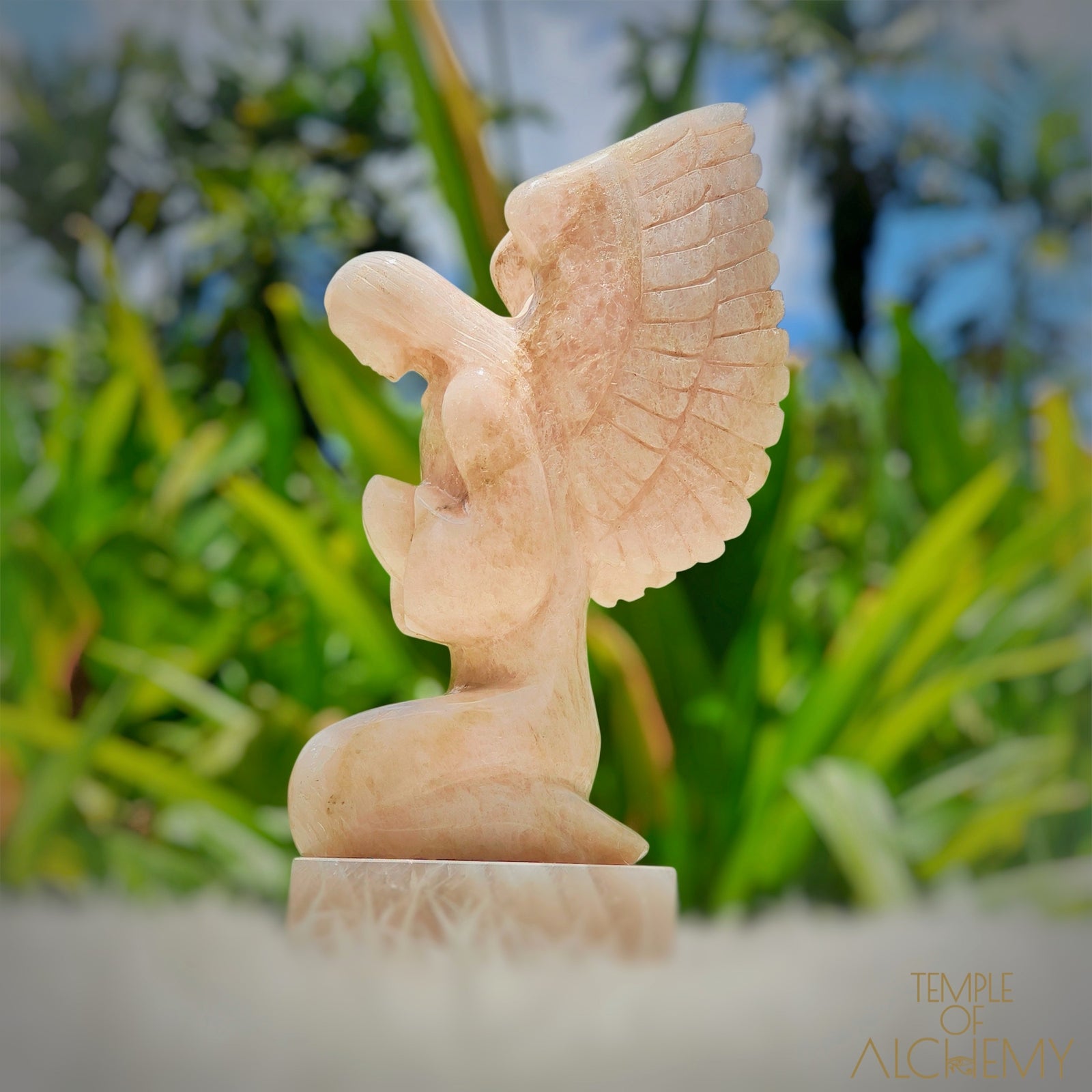 Raphaela 𓆃 The Healing of God