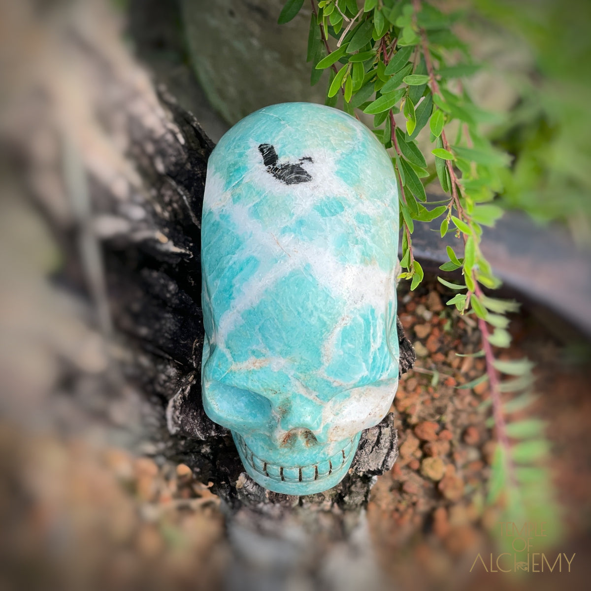 Amazonite x Black Tourmaline