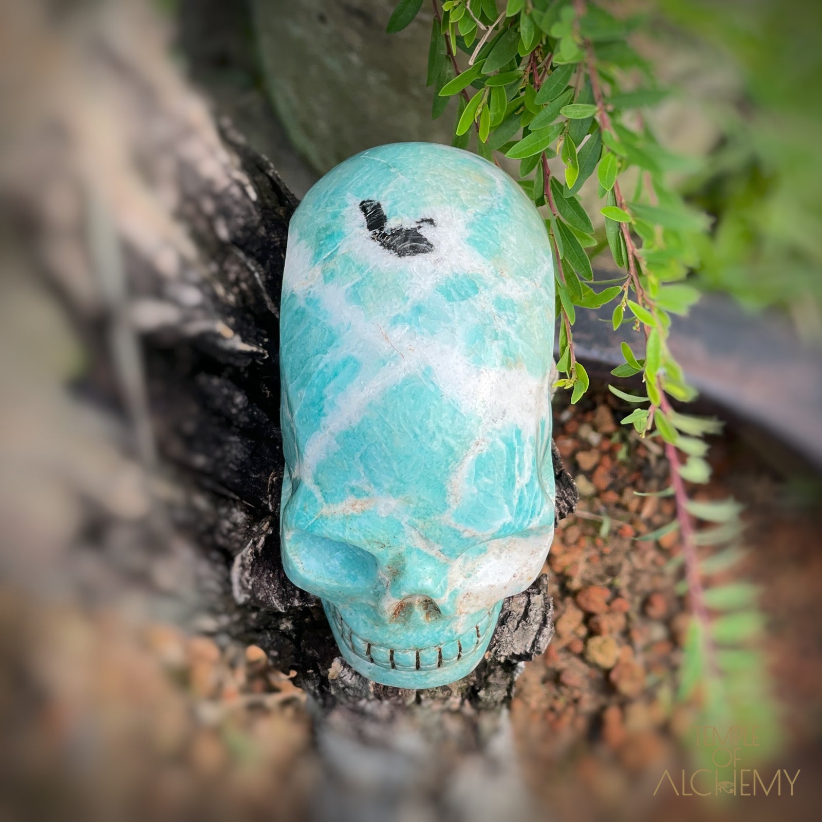 Amazonite x Black Tourmaline