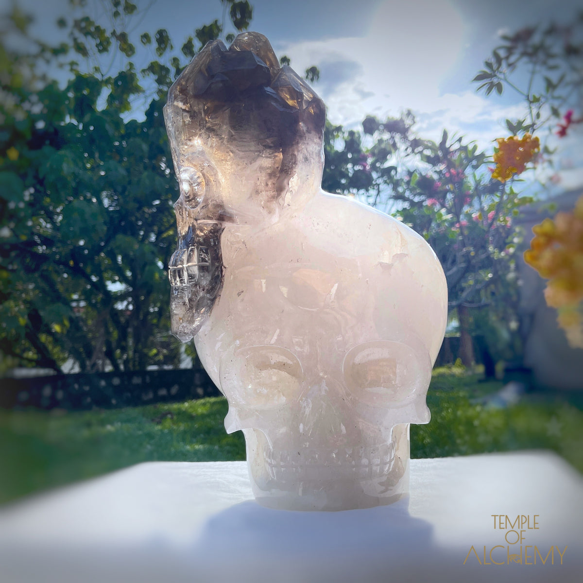 * Reserved * Andre & Gina 𓆃 Warrior #194 : The Awakening of the Warrior Queen