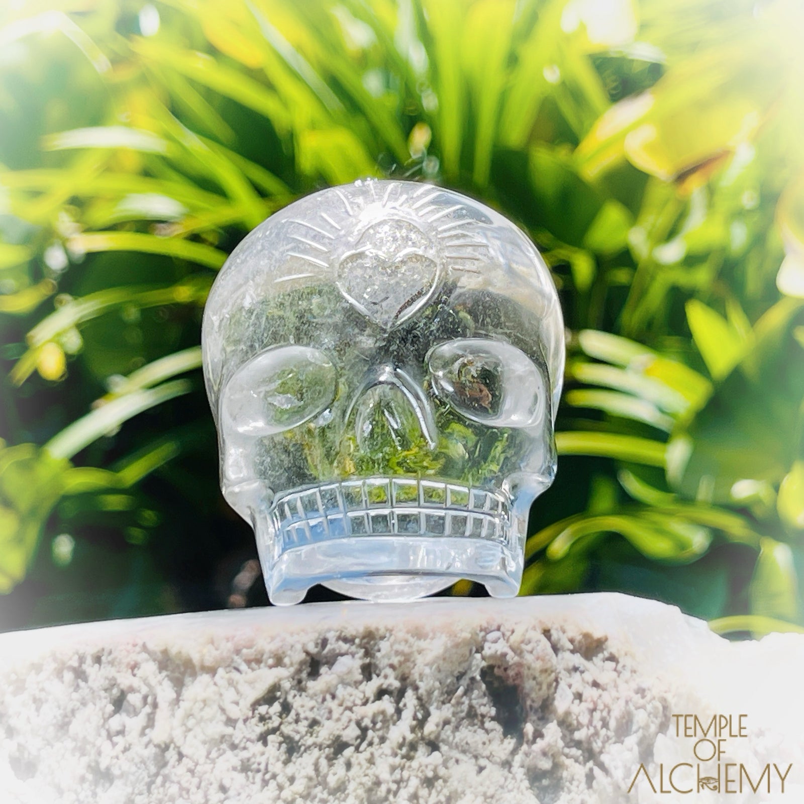 Lemurian 𓆃 Keeper of the Ancient Light