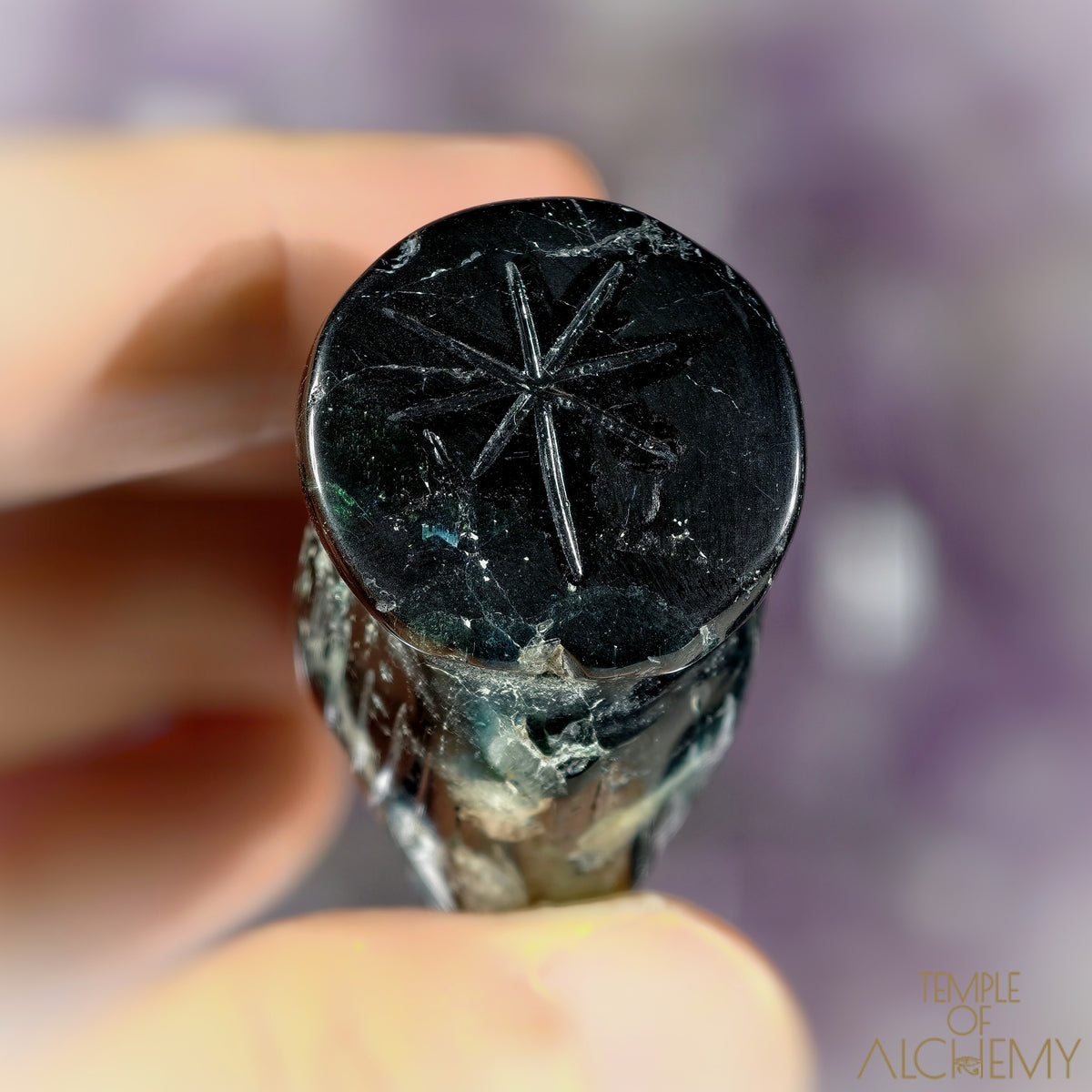 The Seer's Lantern 𓆃 Cat's Eye Indicolite