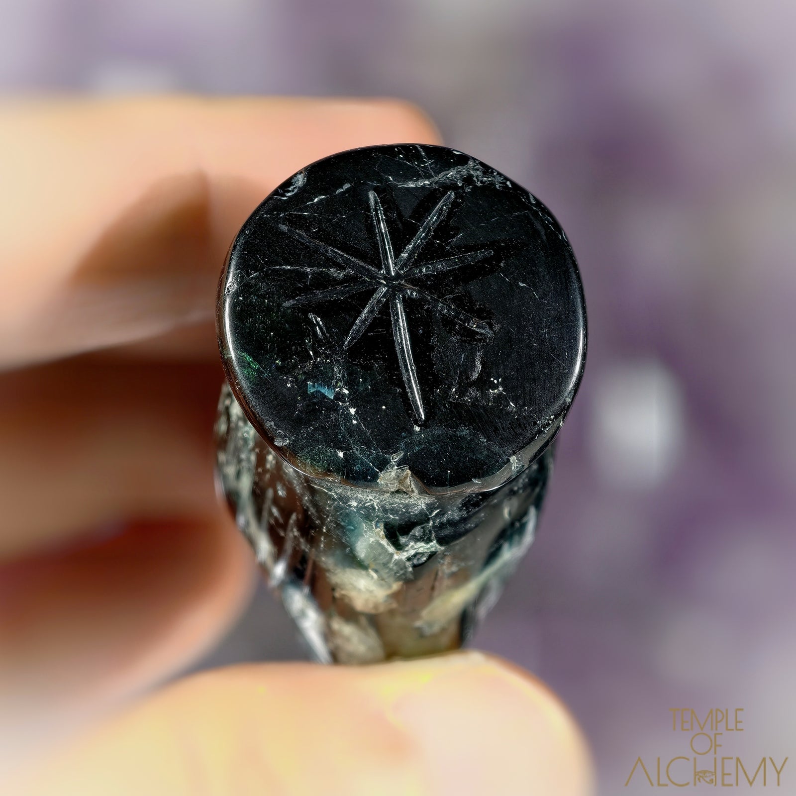 The Seer's Lantern 𓆃 Cat's Eye Indicolite