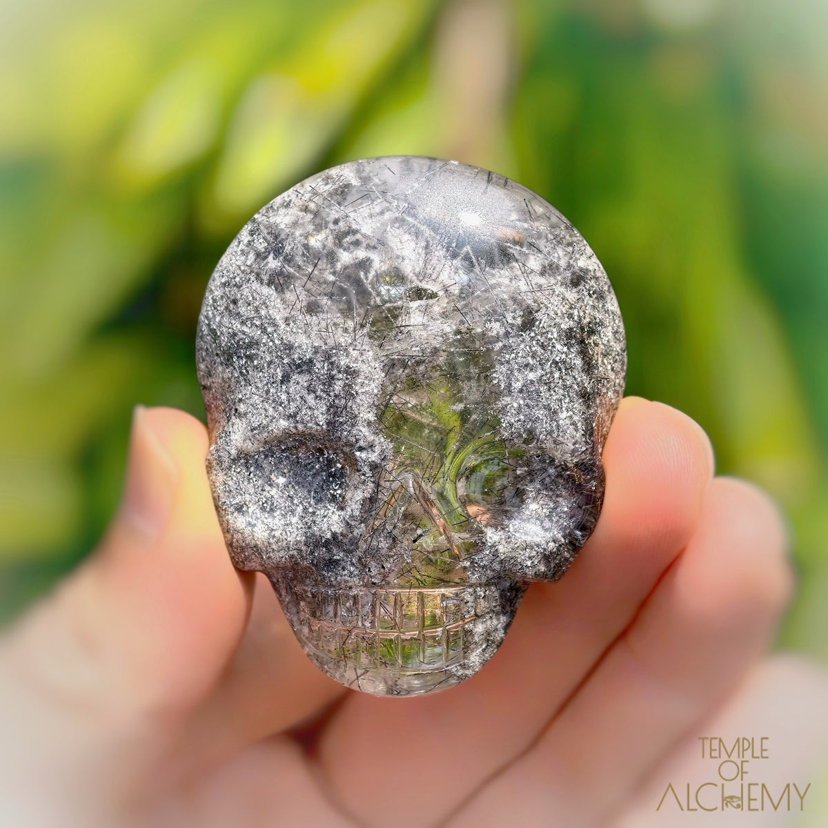 Lodolite x Black Tourmaline