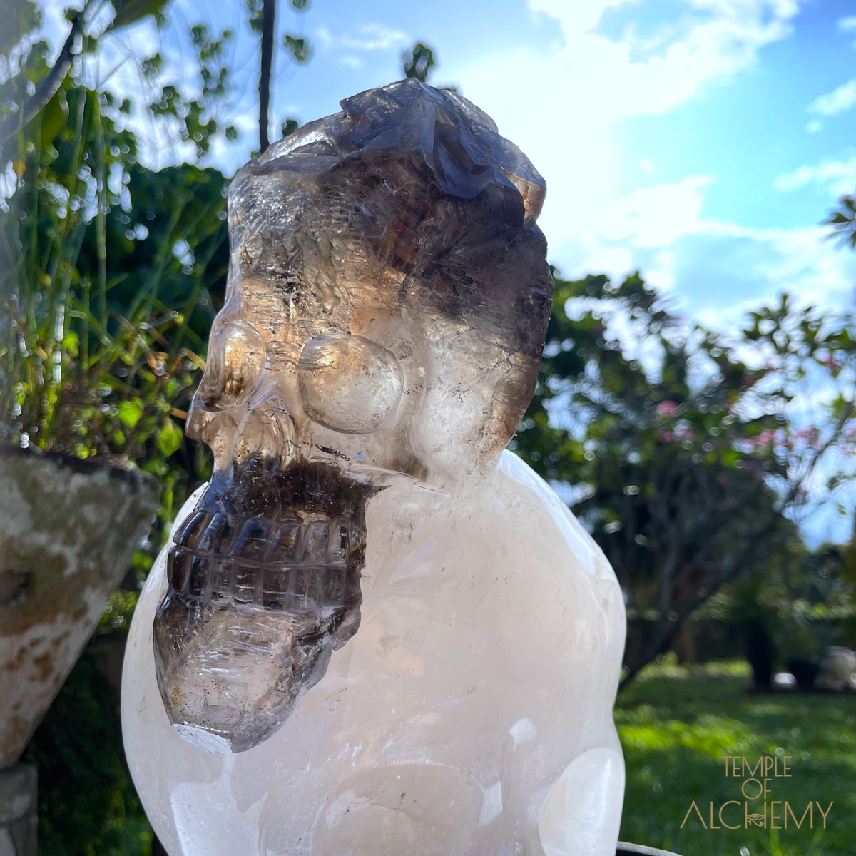 * Reserved * Andre & Gina 𓆃 Warrior #194 : The Awakening of the Warrior Queen