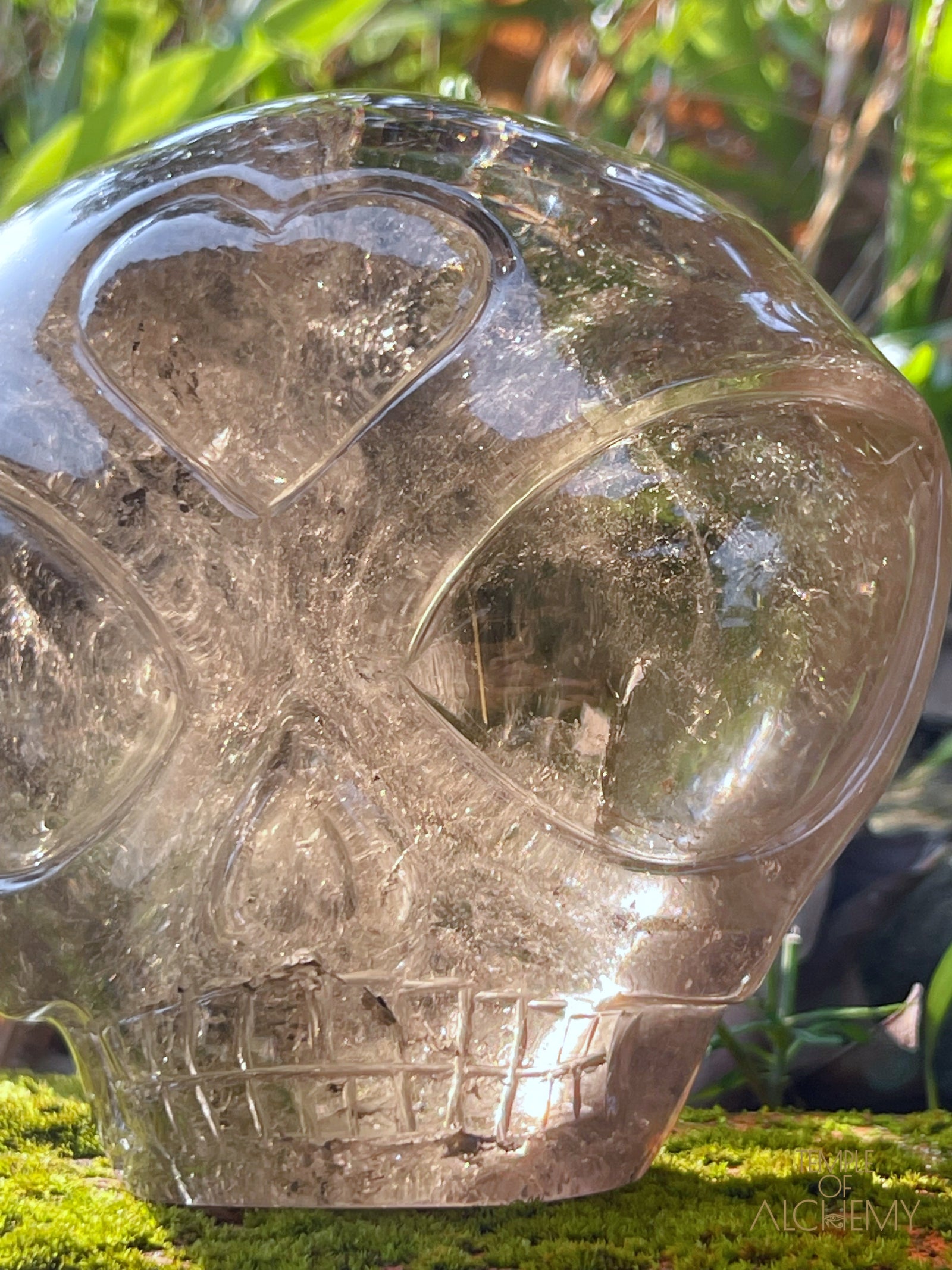 Smoky Quartz X Golden Rutiles