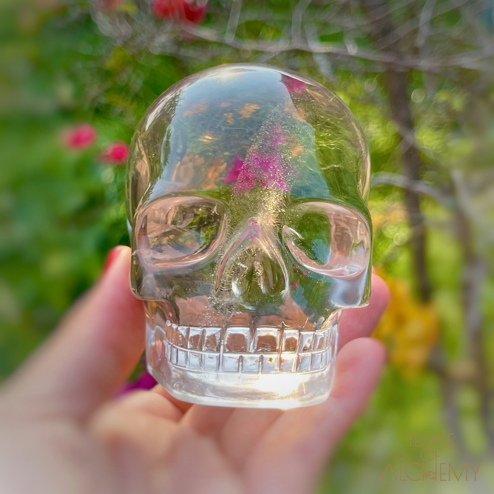 Ascension 𓄂♡𓆃 Citrine