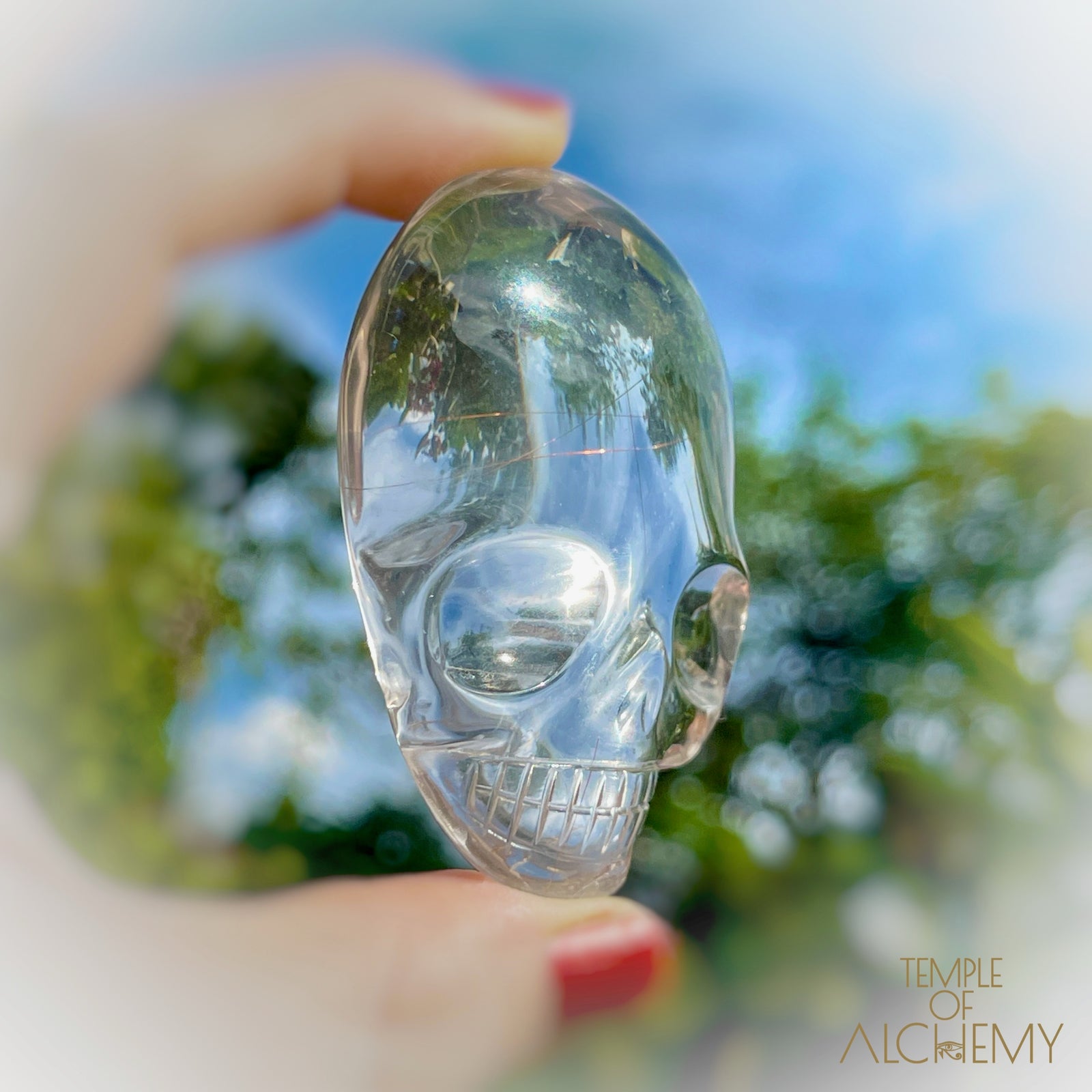 Ascension 𓄂♡𓆃 Copper Rutiles in Clear Quartz