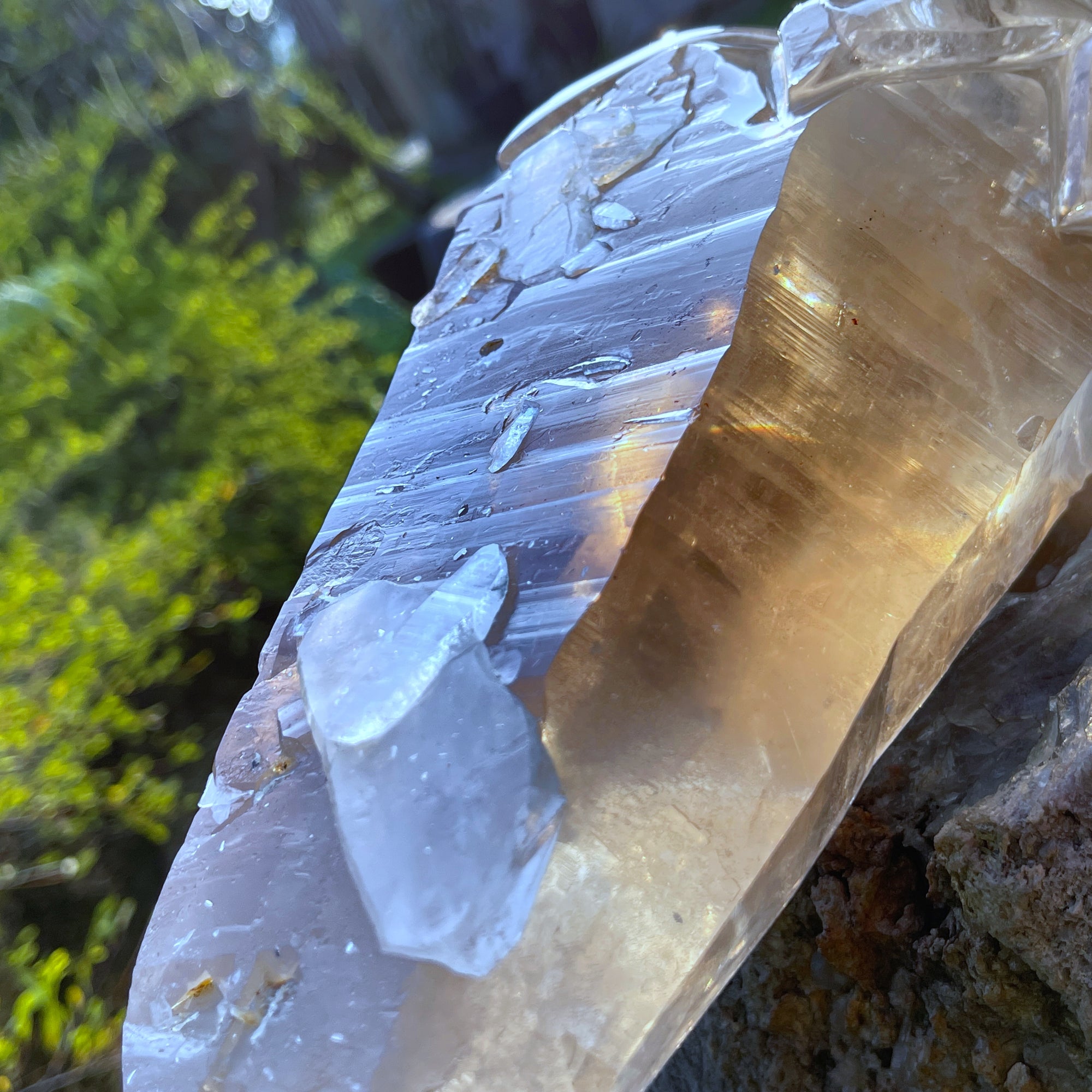 Lordum  𓆃 Warrior # 208 * Ultra Rare * Smoky Lemurian x Bridge Crystal Growth & Baby Crystals