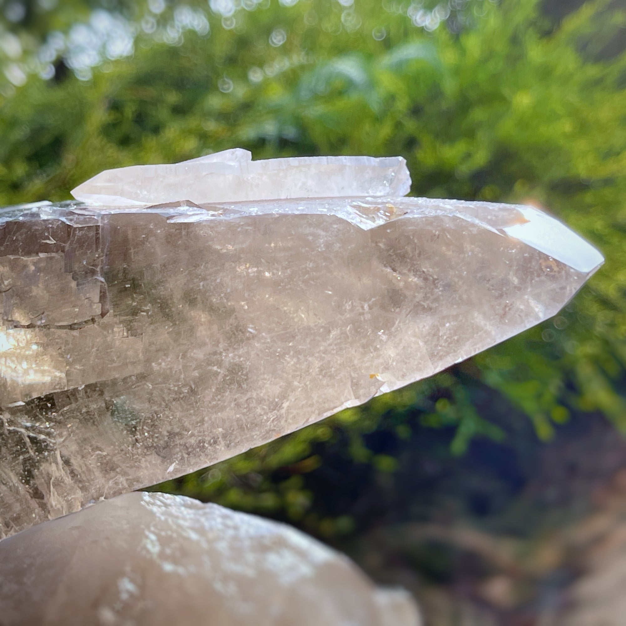 Lordum  𓆃 Warrior # 208 * Ultra Rare * Smoky Lemurian x Bridge Crystal Growth & Baby Crystals