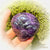 * Reserved S.R * Dream Amethyst