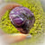 * Reserved S.R * Dream Amethyst
