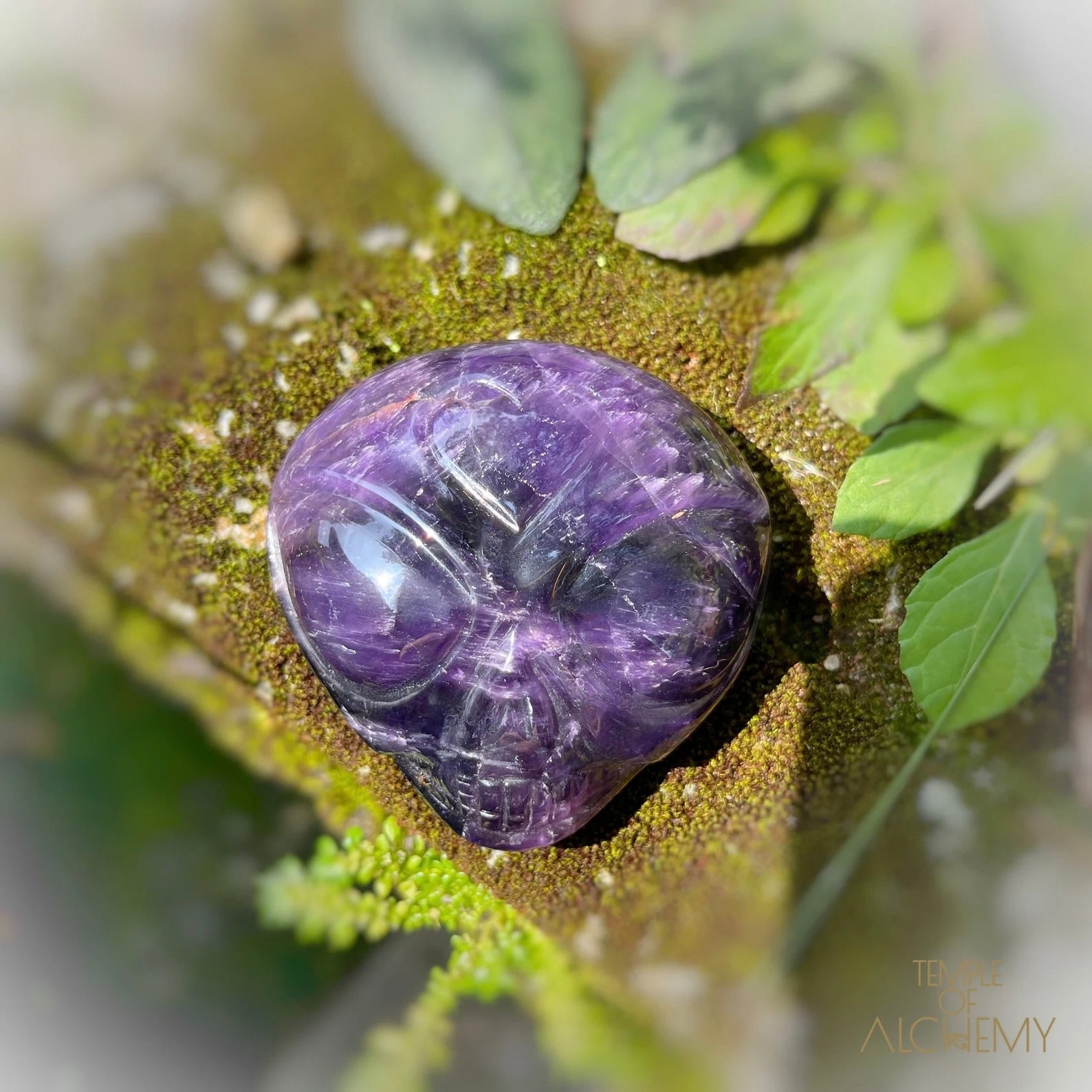 * Reserved S.R * Dream Amethyst