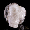 Smokey Elestial + Mica - crystal skull - Leandro de Souza - 1