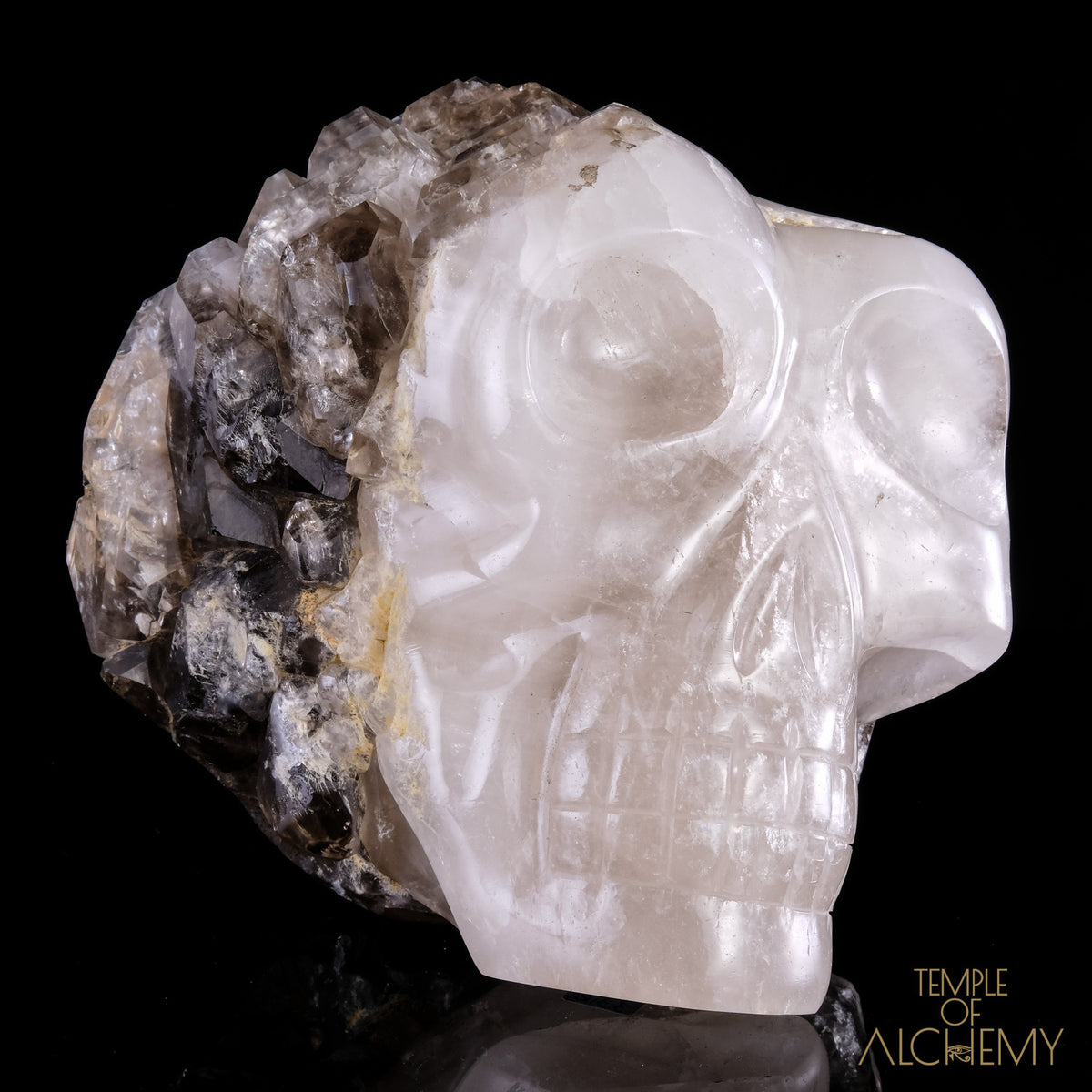 Smokey Elestial + Mica - crystal skull - Leandro de Souza - 2