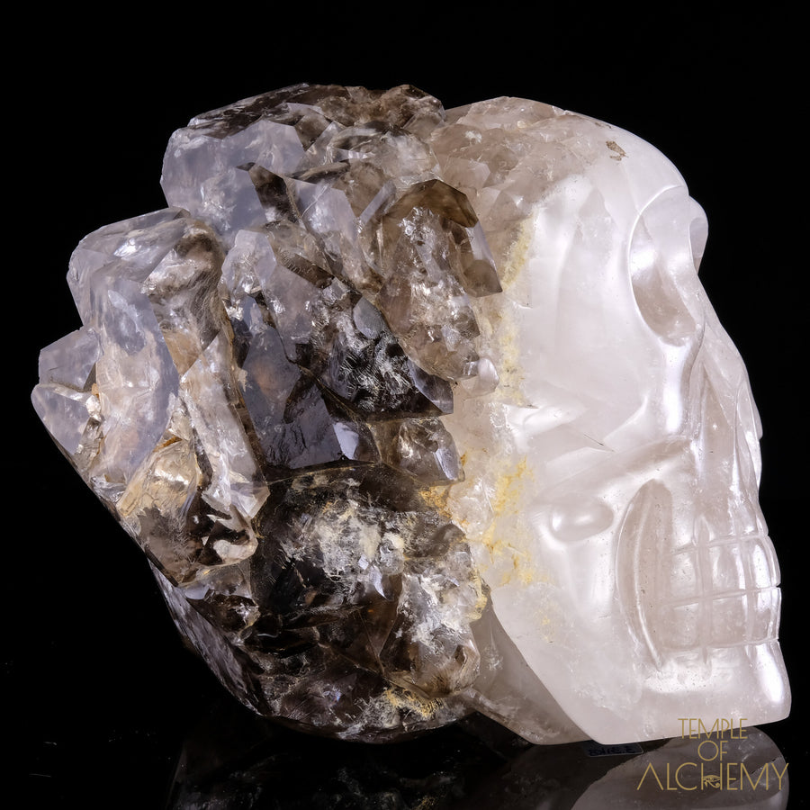 Smokey Elestial + Mica - crystal skull - Leandro de Souza - 3