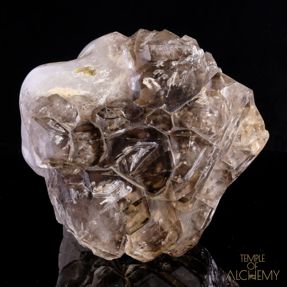 Smokey Elestial + Mica - crystal skull - Leandro de Souza - 9
