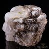 Smokey Elestial + Mica - crystal skull - Leandro de Souza - 11