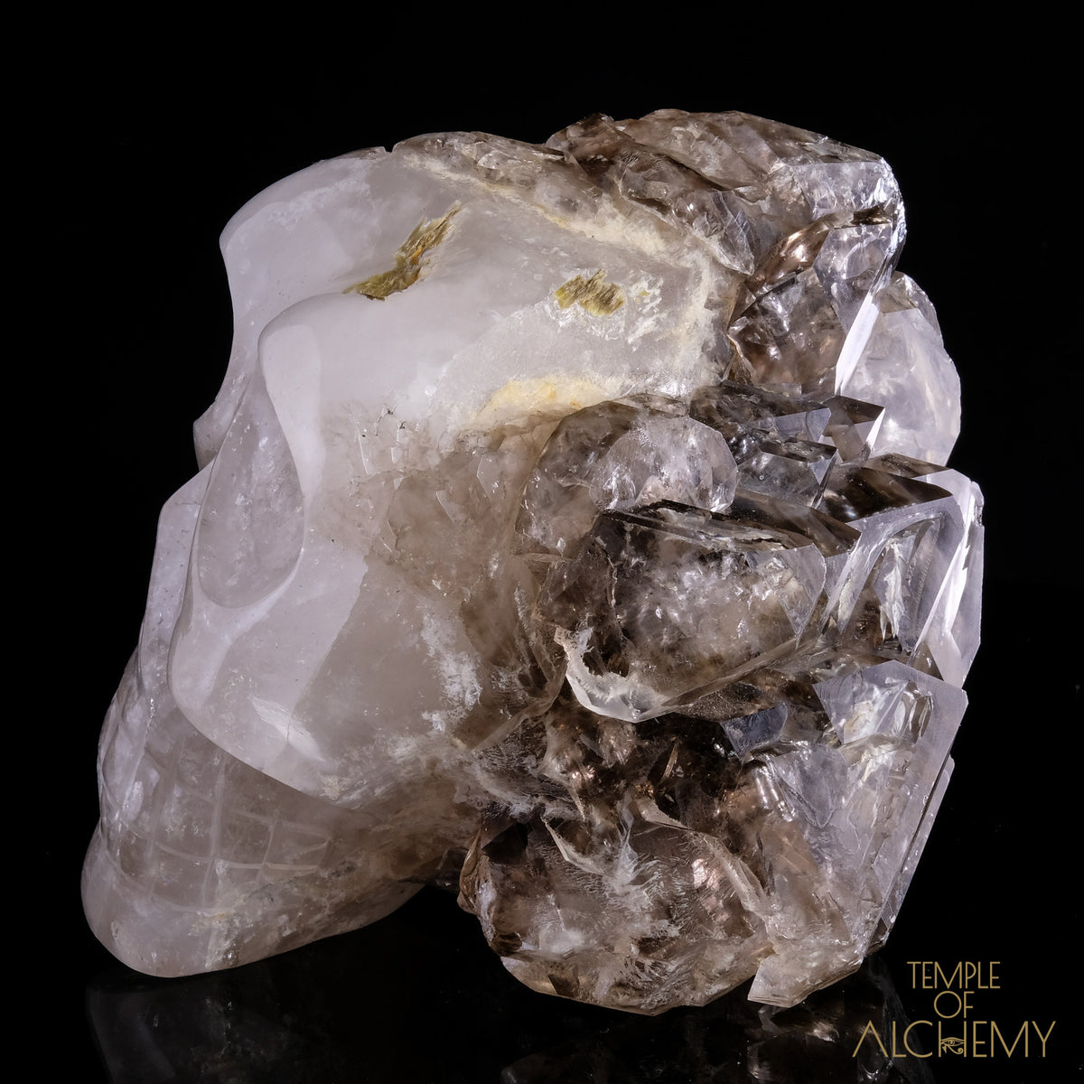 Smokey Elestial + Mica - crystal skull - Leandro de Souza - 14