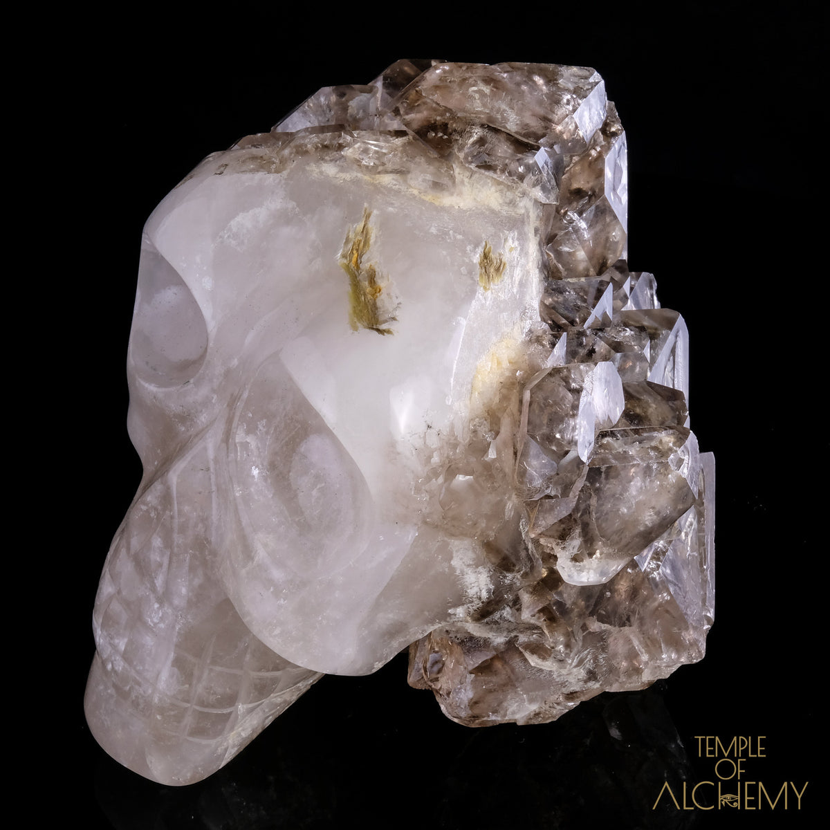 Smokey Elestial + Mica - crystal skull - Leandro de Souza - 17