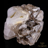 Smokey Elestial + Mica - crystal skull - Leandro de Souza - 18