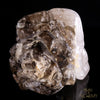 Smokey Elestial + Mica - crystal skull - Leandro de Souza - 19