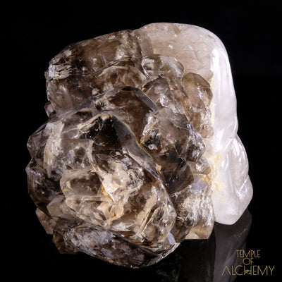 Smokey Elestial + Mica - crystal skull - Leandro de Souza - 19