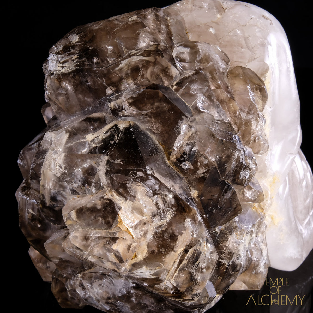 Smokey Elestial + Mica - crystal skull - Leandro de Souza - 20