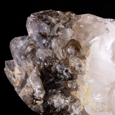 Smokey Elestial + Mica - crystal skull - Leandro de Souza - 21