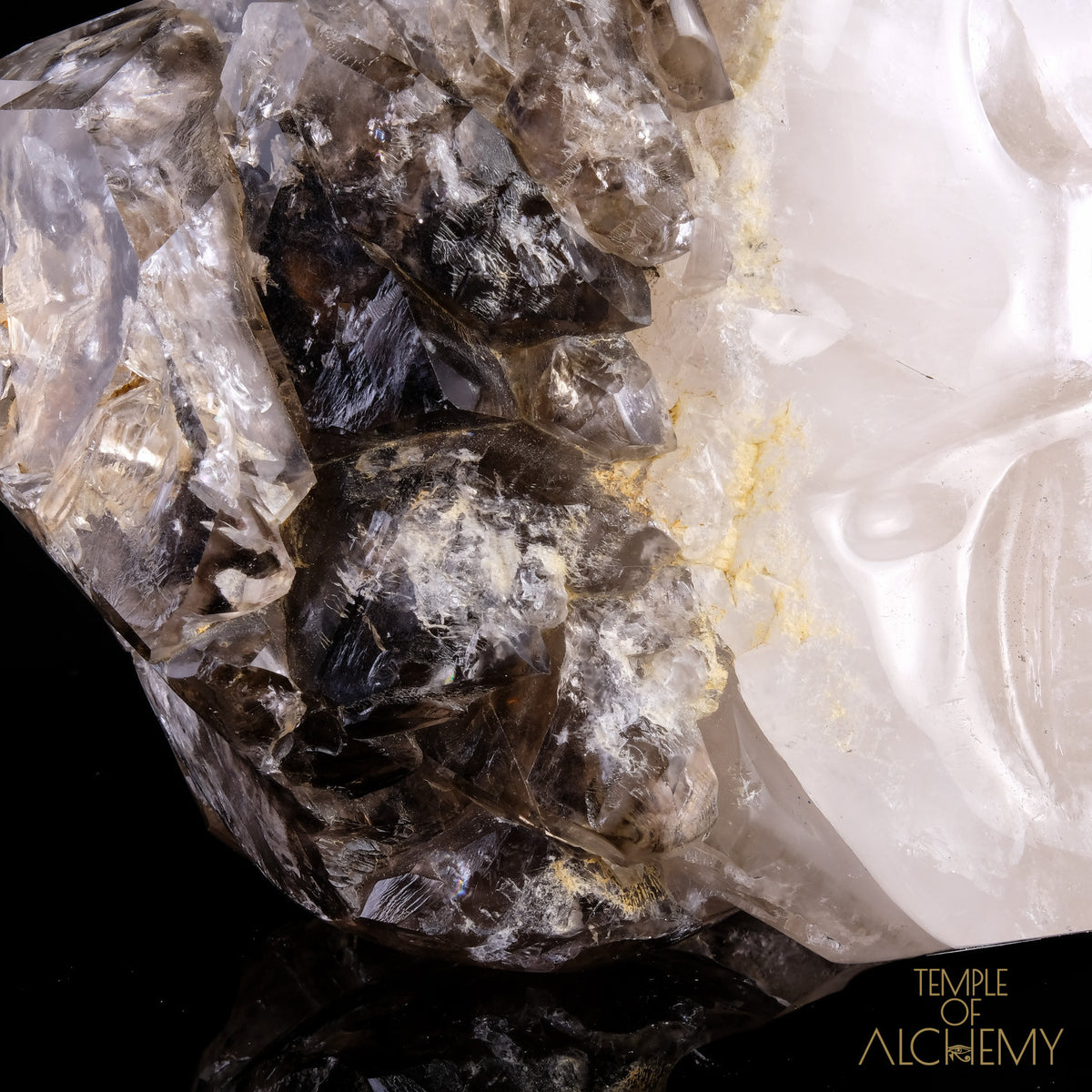 Smokey Elestial + Mica - crystal skull - Leandro de Souza - 22