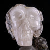 Smokey Elestial + Mica - crystal skull - Leandro de Souza - 23