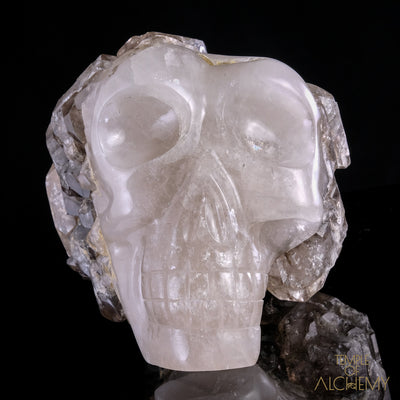 Smokey Elestial + Mica - crystal skull - Leandro de Souza - 23