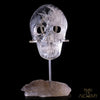 Light Smokey Elestial - crystal skull - Leandro de Souza - 1