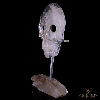 Light Smokey Elestial - crystal skull - Leandro de Souza - 4