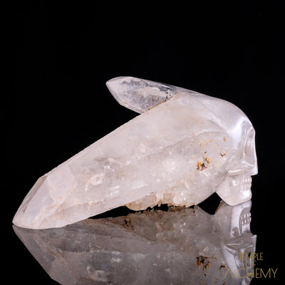 Tangerine Sirius * Traveller Master Skull * - crystal skull - Leandro de Souza - 5