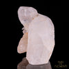 Tangerine Sirius * Traveller Master Skull * - crystal skull - Leandro de Souza - 6