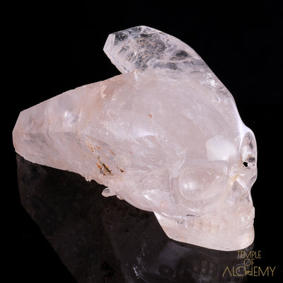 Tangerine Sirius * Traveller Master Skull * - crystal skull - Leandro de Souza - 15