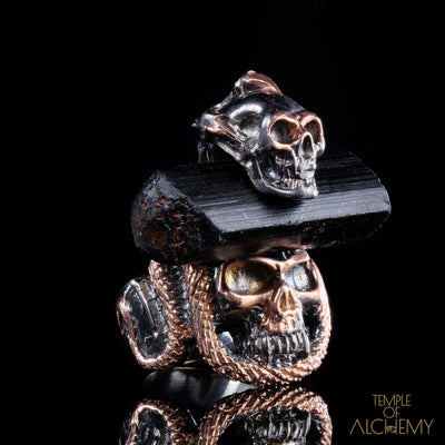 Crystal Skull Ring : Black Tourmaline - jewelry - Temple of Alchemy - 1