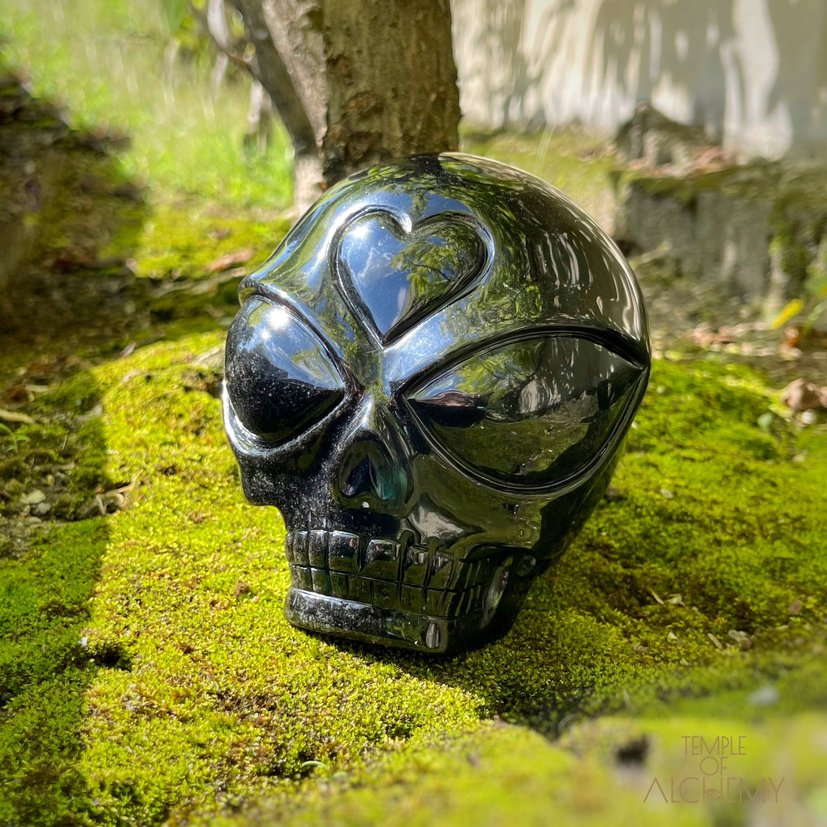 The Protector 𓆃 Black Obsidian