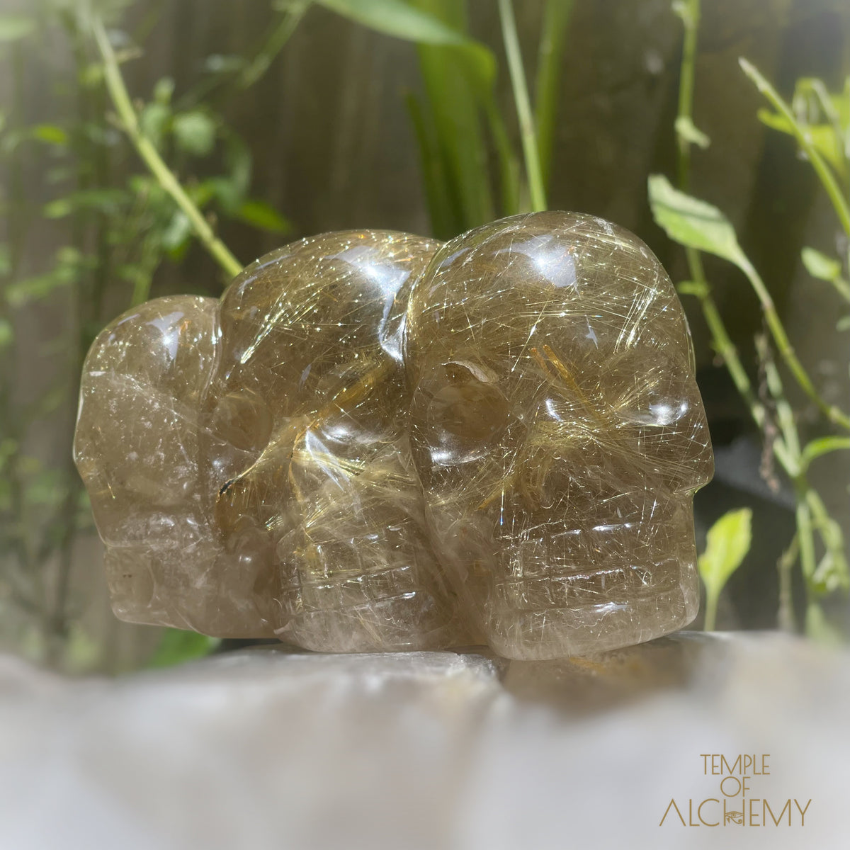 Smoky Citrine x Golden Rutiles