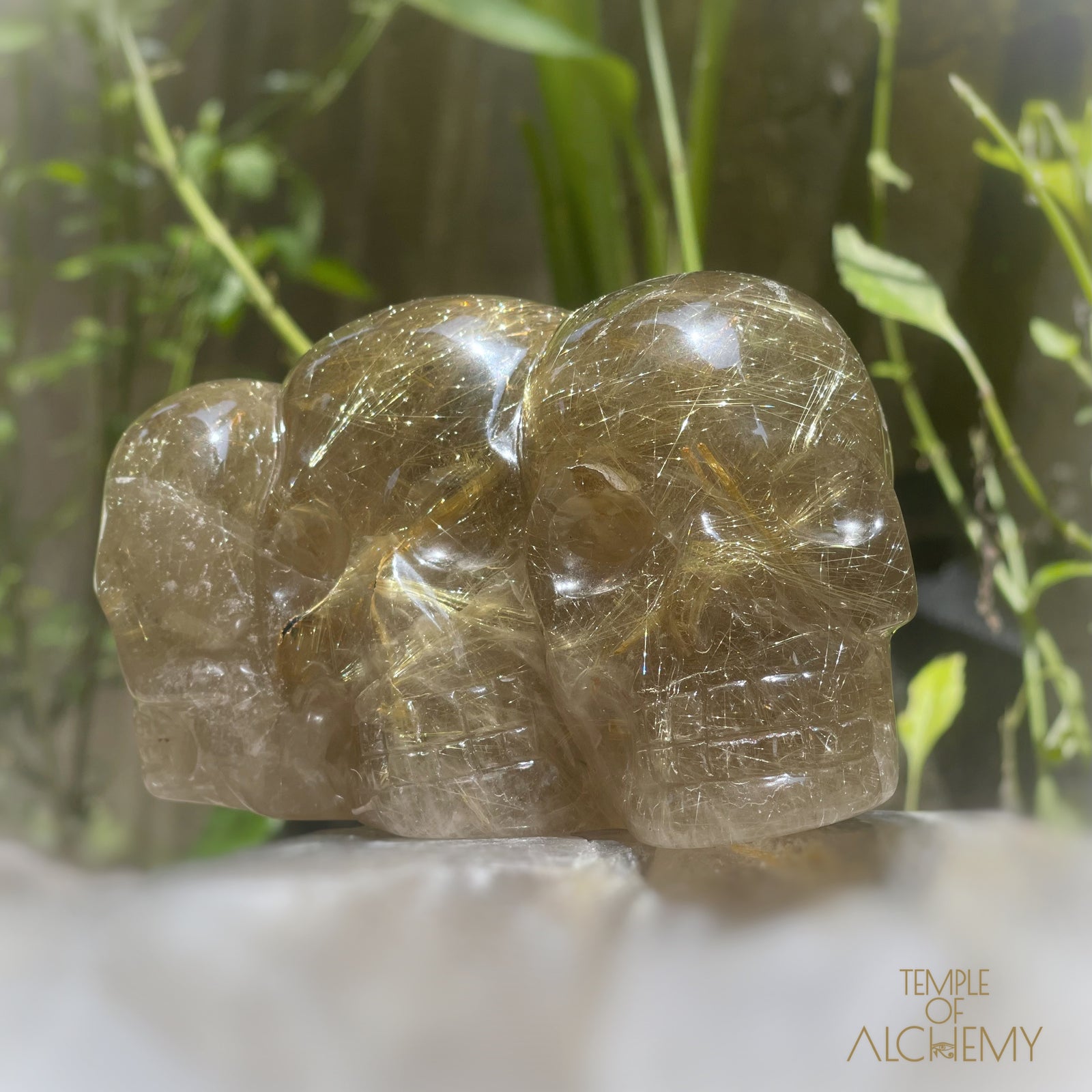 Smoky Citrine x Golden Rutiles